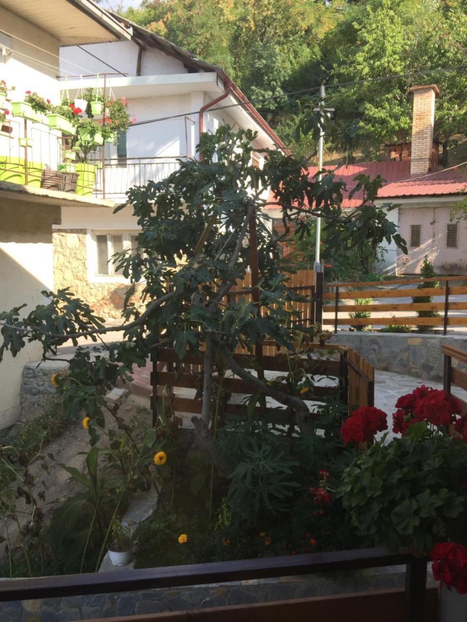 Appartement Madox à Ohrid Extérieur photo